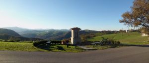 Selvapiana - collina RE 